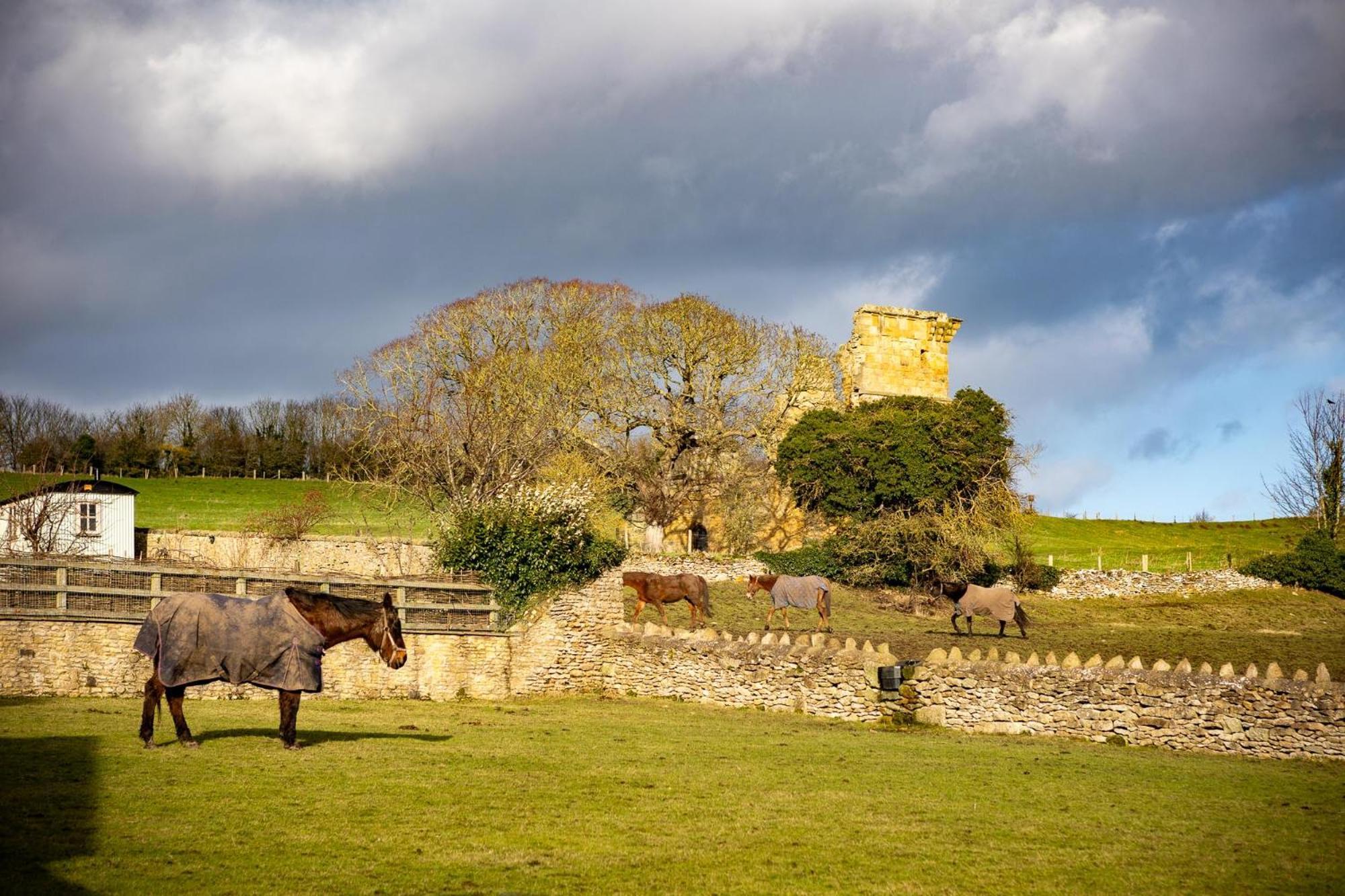 Yew Tree Cottage East Ayton Exterior foto
